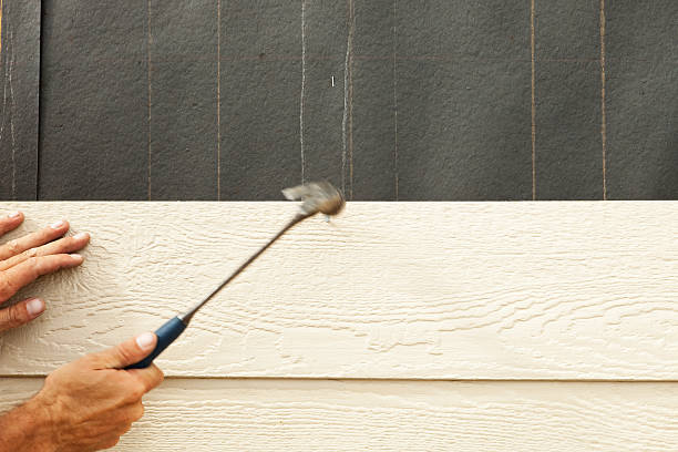 Best Insulated Siding Installation  in Inver Grove Heights, MN